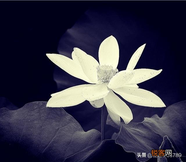 现在尼康的半画幅相机还有啥值得入手的？学生党小白一枚,预算在6000以内,喜拍景？