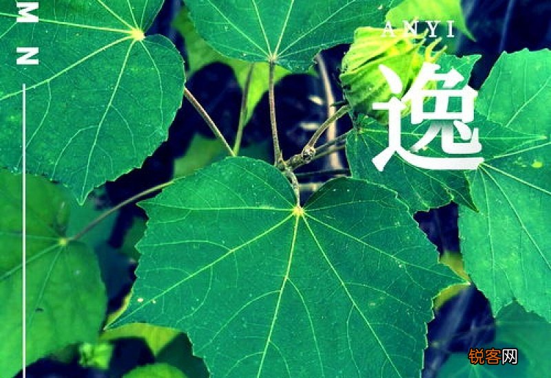 木棉花叶子是什么形状