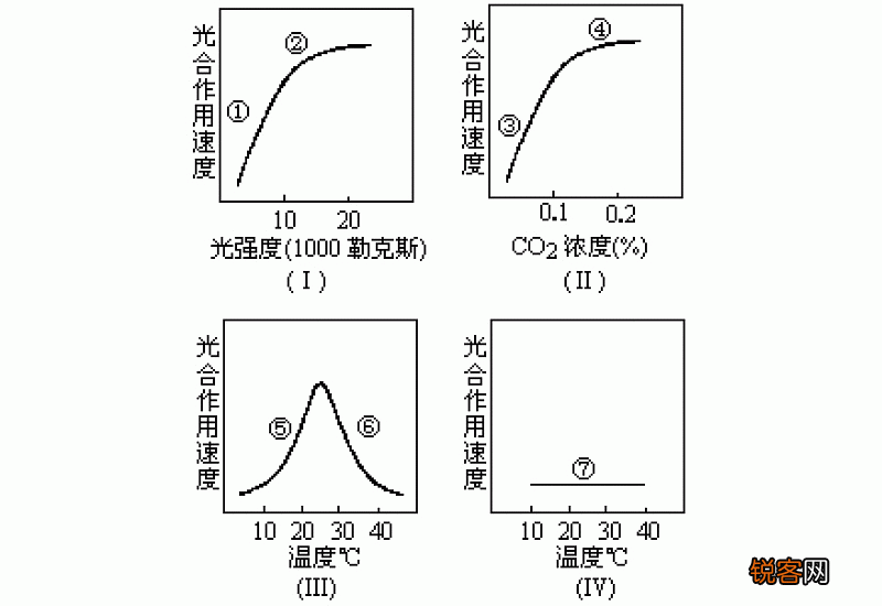 光合作用的暗反应消耗水吗 光合作用暗反应能不能产生水