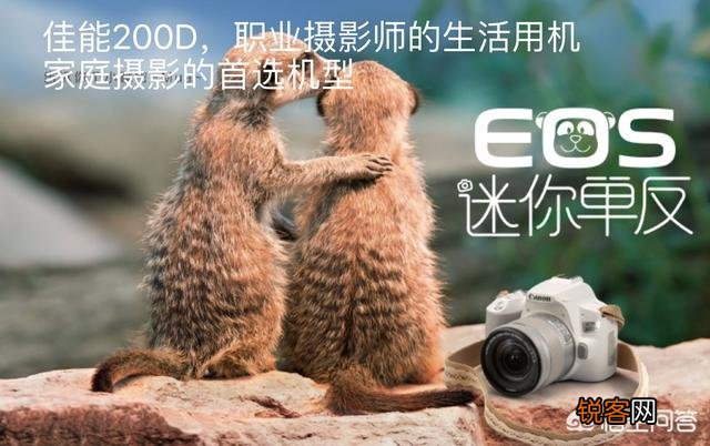 半个新人求助,佳能单反如何选？