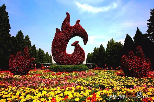 什么品牌的相机功能强、性能好还有较高的使用价值？