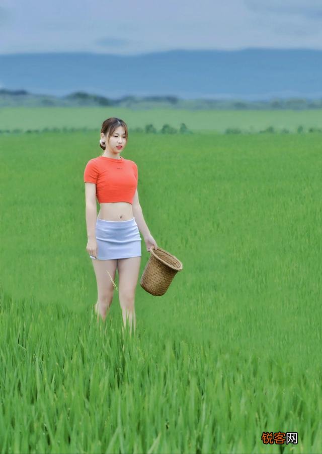 什么牌子的单反相机适合旅行发烧友？