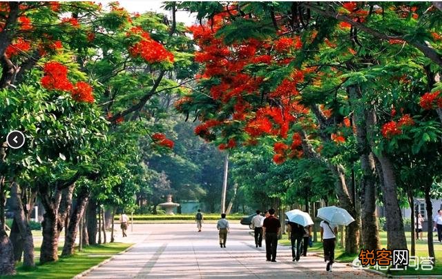 如何评价厦门大学？