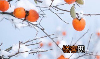 冬天的诗句 关于冬天的诗句古诗