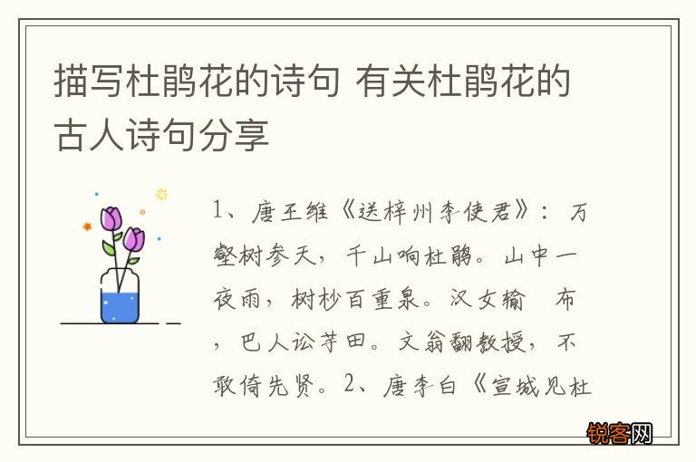 描写杜鹃花的诗句 有关杜鹃花的古人诗句分享