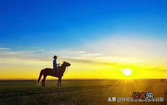 想买一台国产单反相机,有什么好的可以推荐一下吗？