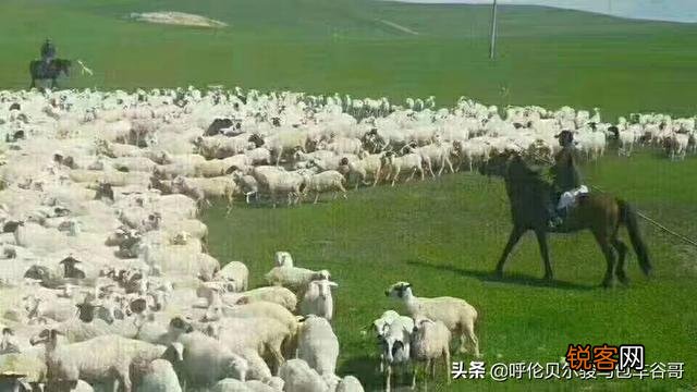 想买一台国产单反相机,有什么好的可以推荐一下吗？
