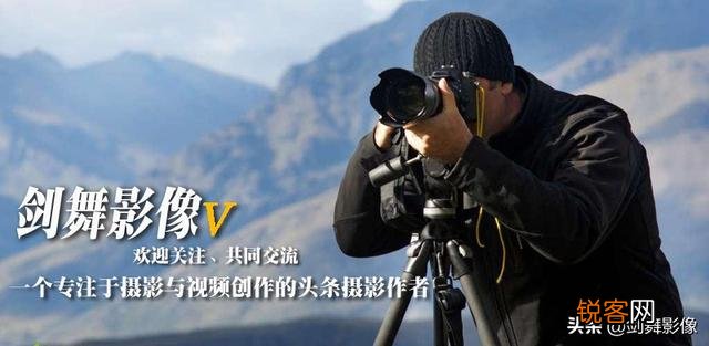 拍摄微距摄影,哪种单反相机比较好？