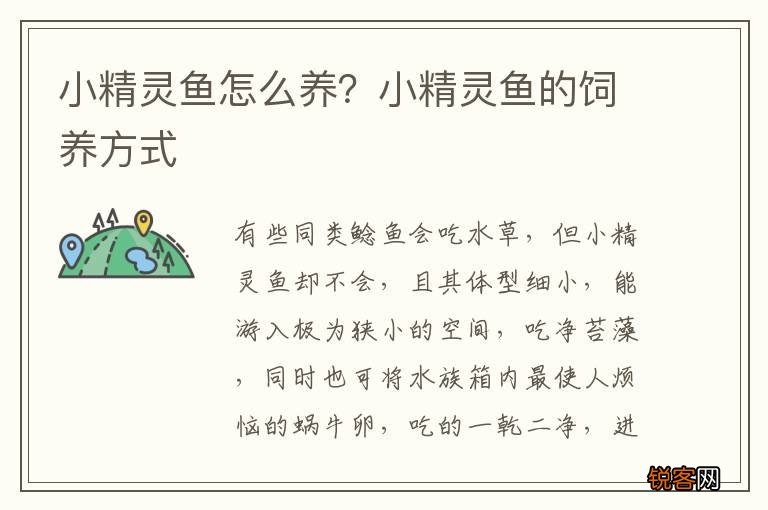 小精灵鱼怎么养？小精灵鱼的饲养方式