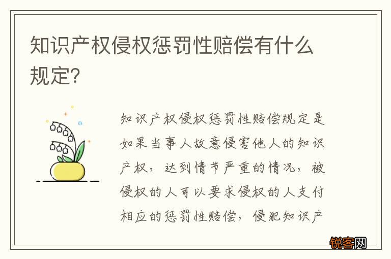 知识产权侵权惩罚性赔偿有什么规定？