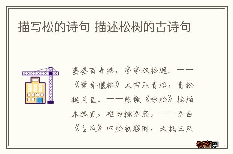描写松的诗句 描述松树的古诗句