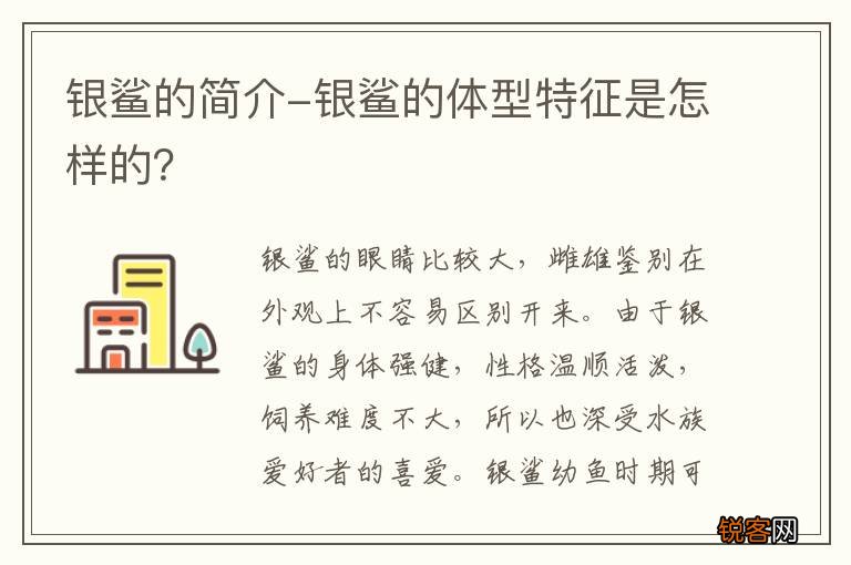 银鲨的简介-银鲨的体型特征是怎样的？