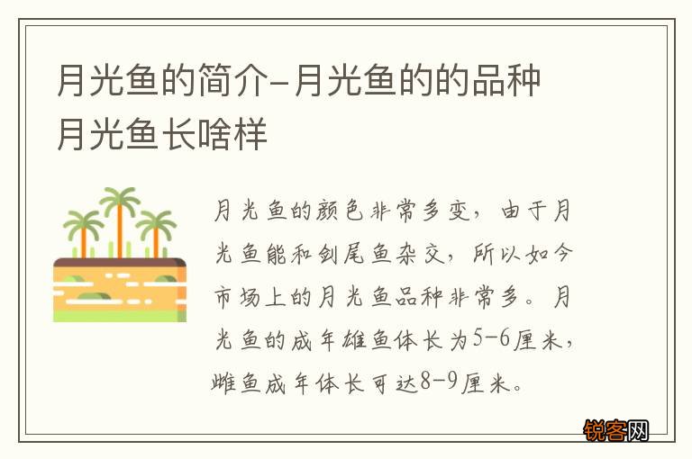 月光鱼的简介-月光鱼的的品种 月光鱼长啥样