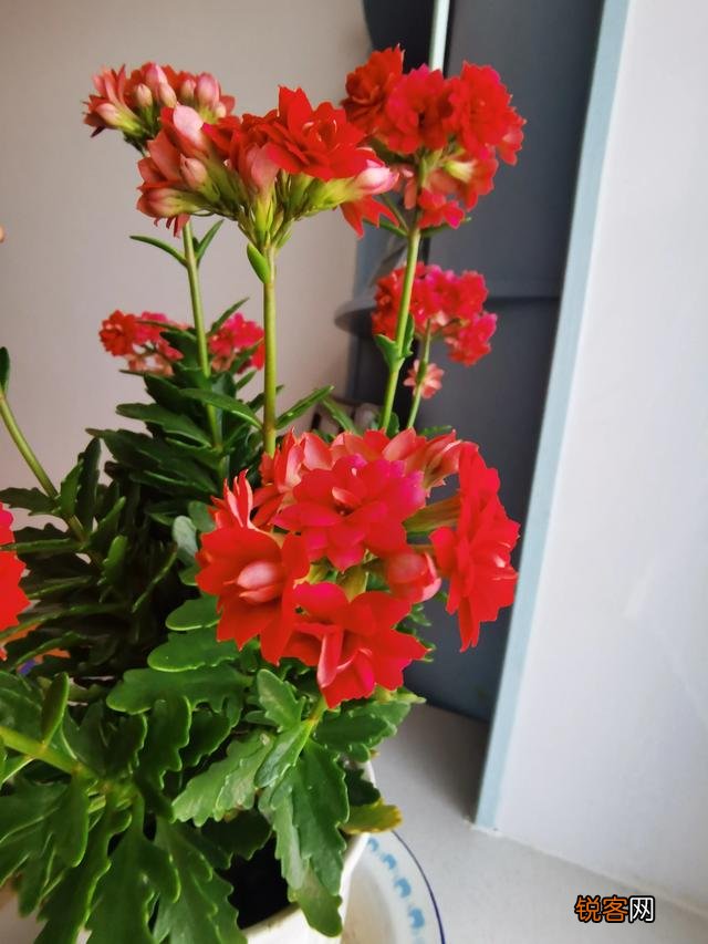 人类真能长寿不老并永续存在吗？