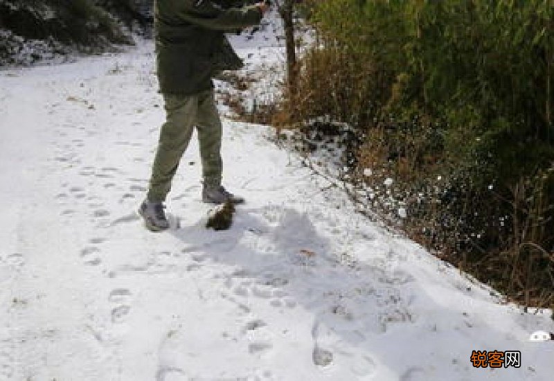 2021今天全国哪里下雪了