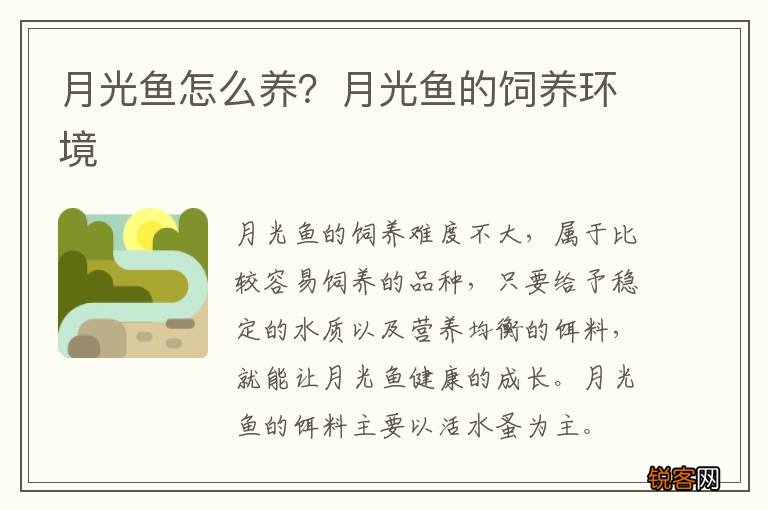 月光鱼怎么养？月光鱼的饲养环境