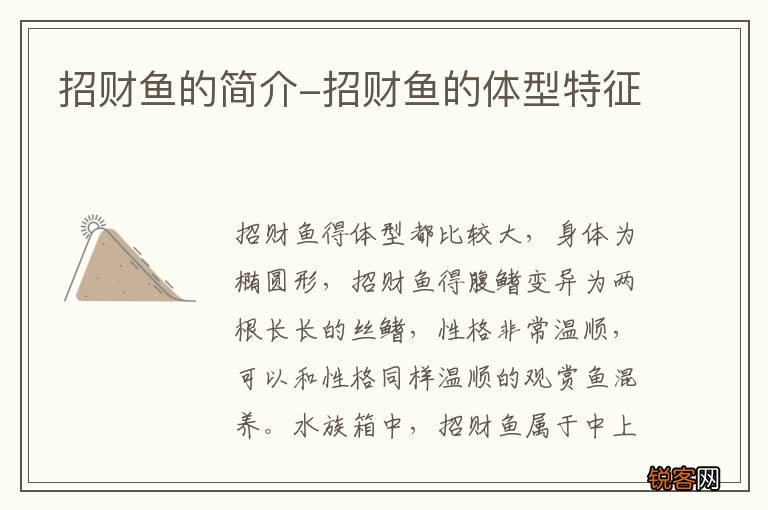 招财鱼的简介-招财鱼的体型特征