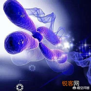 清代活了两百岁的寿星李庆远,科学家怎么解释？是否历史上真的有这样的人？