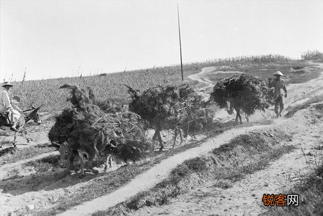 清代活了两百岁的寿星李庆远,科学家怎么解释？是否历史上真的有这样的人？
