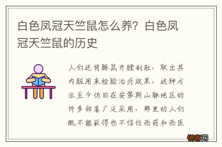 白色凤冠天竺鼠怎么养？白色凤冠天竺鼠的历史