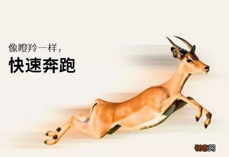 什么是瞪羚企业和独角兽企业?