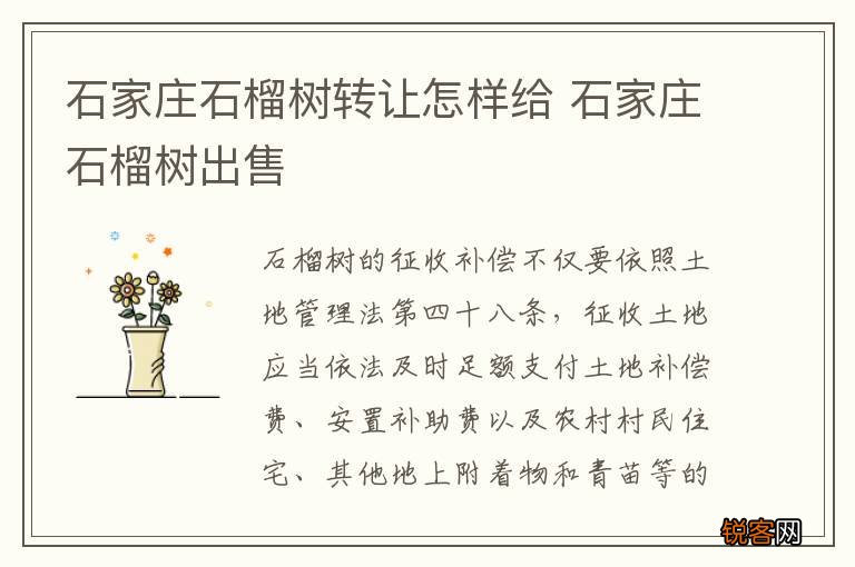 石家庄石榴树转让怎样给 石家庄石榴树出售