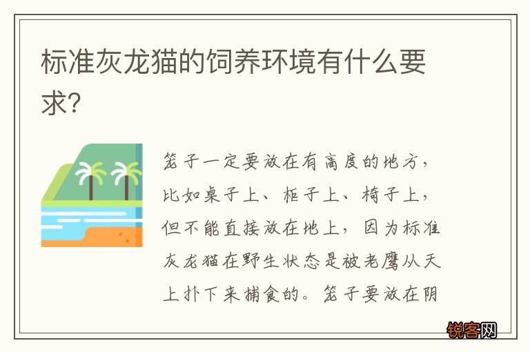 标准灰龙猫的饲养环境有什么要求？