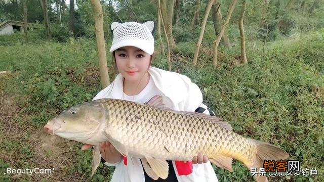户外钓鱼直播怎么做？
