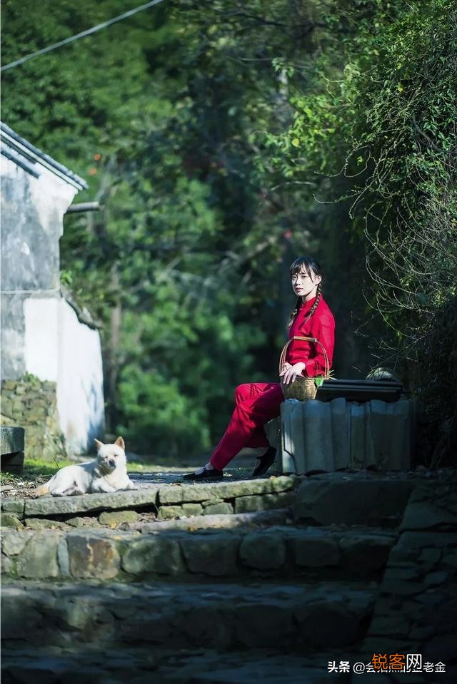我对相机一点也不懂,想买尼康相机,帮忙推荐一下？