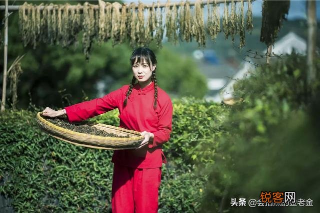 我对相机一点也不懂,想买尼康相机,帮忙推荐一下？