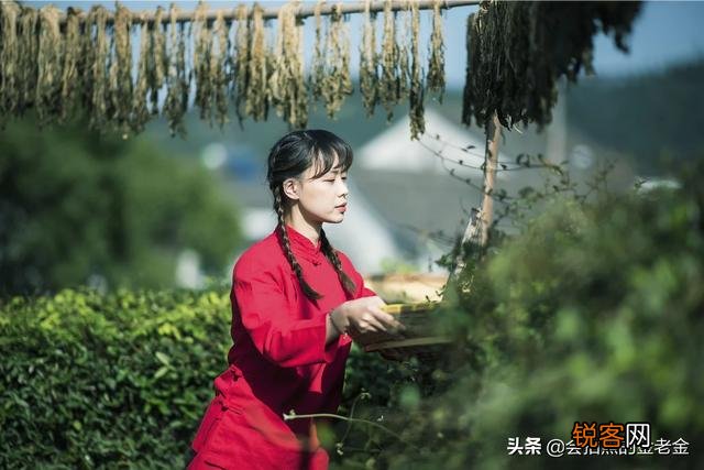 我对相机一点也不懂,想买尼康相机,帮忙推荐一下？
