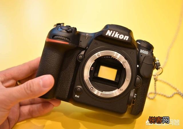 现在尼康小画幅单反相机,哪款的高感、宽容度和画质好？