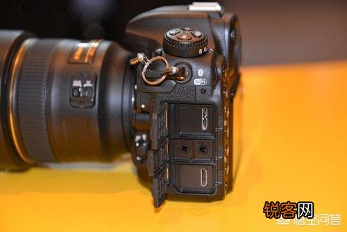 现在尼康小画幅单反相机,哪款的高感、宽容度和画质好？
