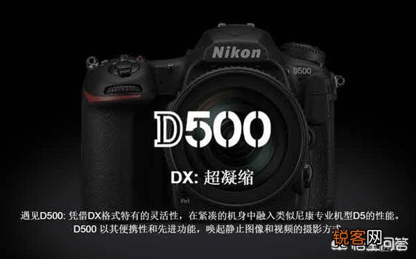 现在尼康小画幅单反相机,哪款的高感、宽容度和画质好？