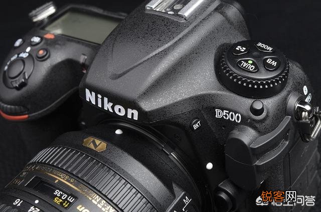现在尼康小画幅单反相机,哪款的高感、宽容度和画质好？