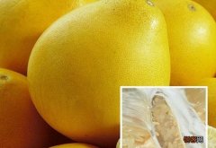 柚子的营养价值有哪些？柚子的营养价值及功效