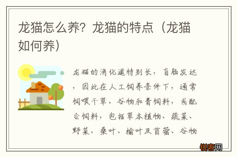 龙猫如何养 龙猫怎么养？龙猫的特点