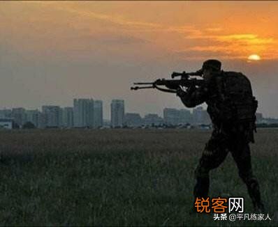 有什么特种兵系列的网络小说可以推荐的？