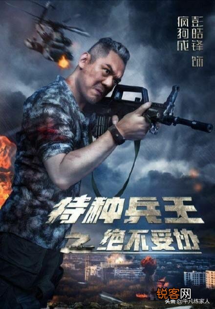 有什么特种兵系列的网络小说可以推荐的？