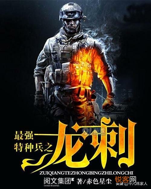 有什么特种兵系列的网络小说可以推荐的？