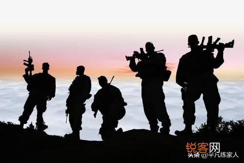 有什么特种兵系列的网络小说可以推荐的？