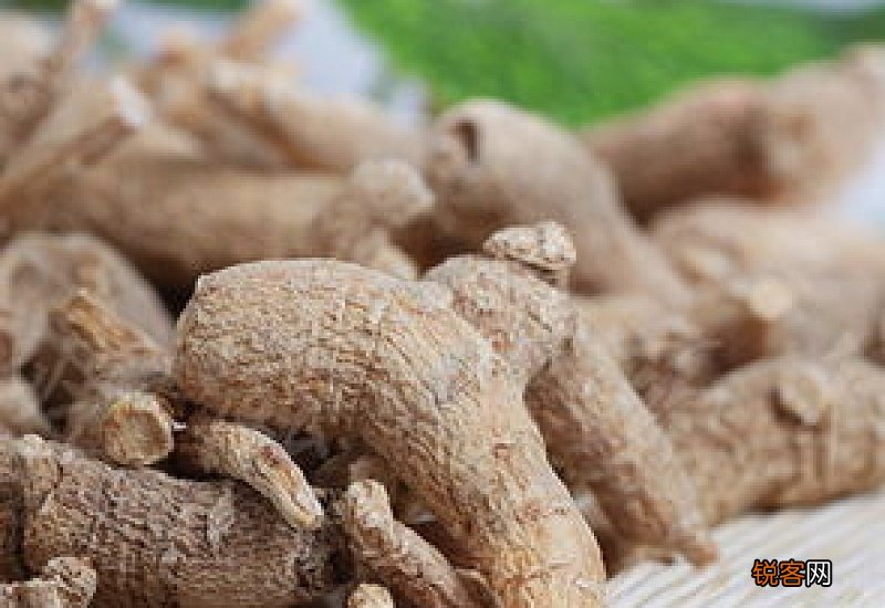 花旗参的作用与功效是什么呢 花旗参的作用与功效是什么