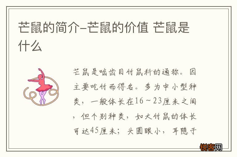 芒鼠的简介-芒鼠的价值 芒鼠是什么