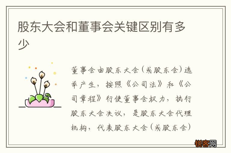 股东大会和董事会关键区别有多少