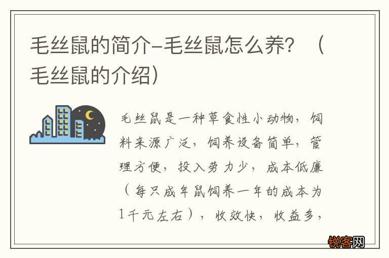 毛丝鼠的介绍 毛丝鼠的简介-毛丝鼠怎么养？