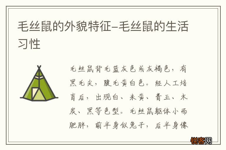 毛丝鼠的外貌特征-毛丝鼠的生活习性
