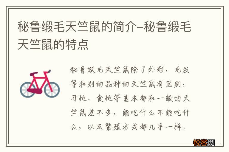 秘鲁缎毛天竺鼠的简介-秘鲁缎毛天竺鼠的特点