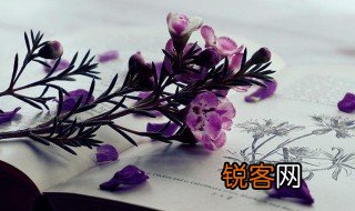 癸未是什么意思 癸未解释