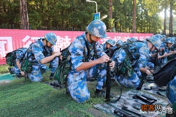 当兵需要什么文化程度和条件？