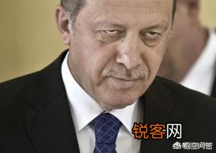 如何看叙利亚收复600平方公里失地呢？